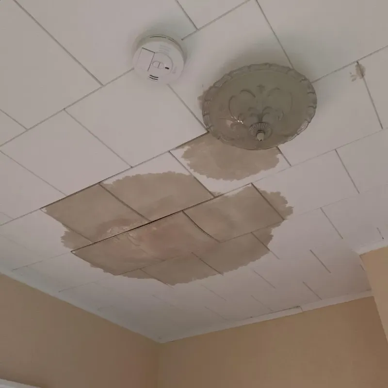 Ceiling Water Damage Repair in Seward County, NE