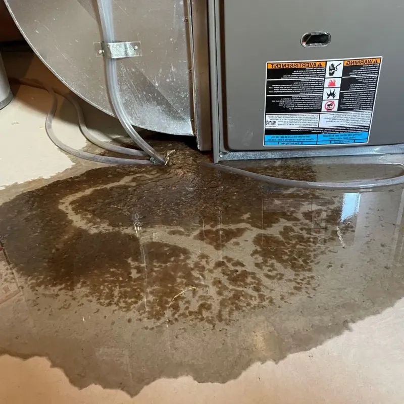 Pipe Burst and Leak Restoration in Seward County, NE