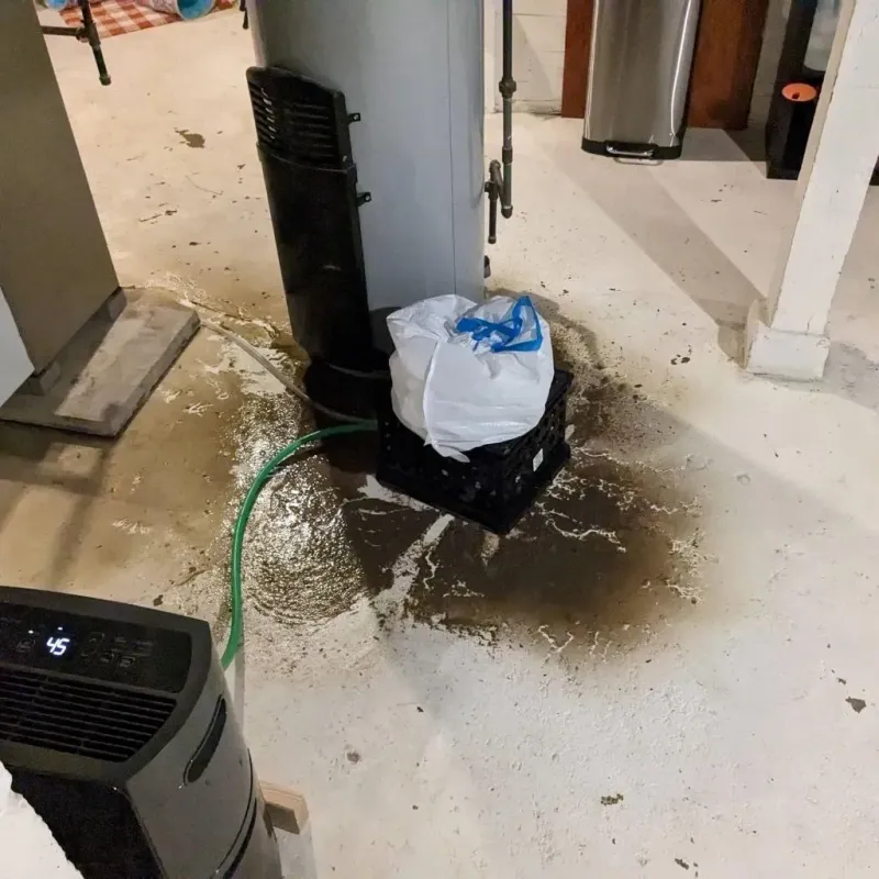 Sewage Backup Cleanup Service in Seward County, NE